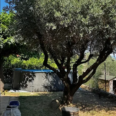 Holiday home House With A View Of Mont Ventoux Sauveterre